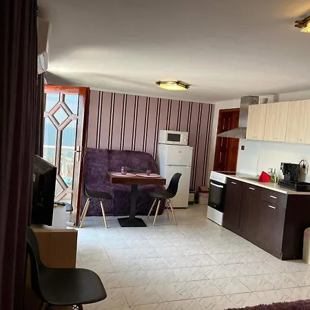 Nikoleta Sveti Vlas